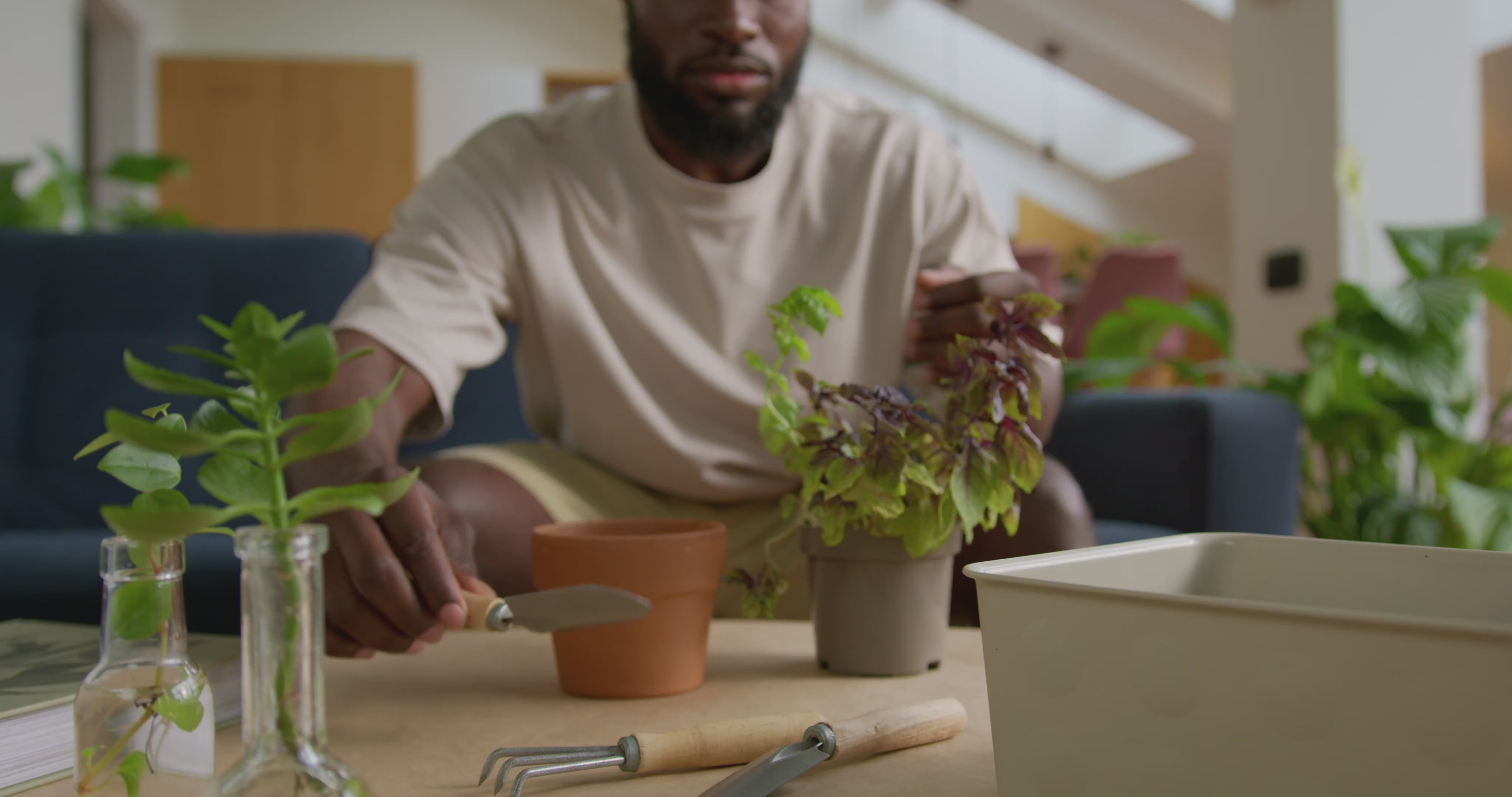 hombre colocando tierra en una maceta